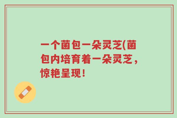 一个菌包一朵灵芝(菌包内培育着一朵灵芝，惊艳呈现！-第1张图片-超越