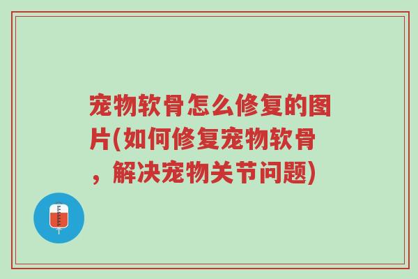 宠物软骨怎么修复的图片(如何修复宠物软骨,解决宠物关节问题)-第1张图片-超越 宠物软骨怎么修复的图片(如何修复宠物软骨,解决宠物关节问题)-第1张图片-超越