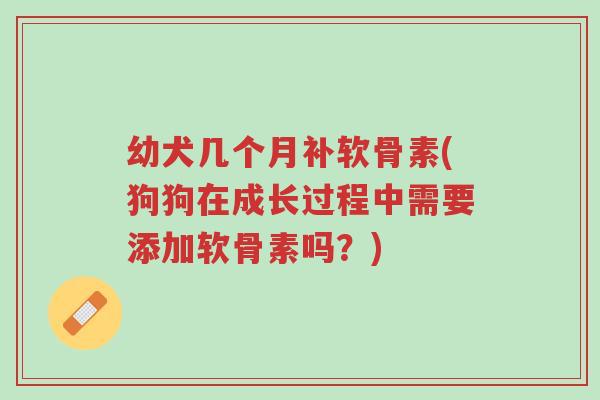 幼犬几个月补软骨素(狗狗在成长过程中需要添加软骨素吗?)-第1张图片-超越 幼犬几个月补软骨素(狗狗在成长过程中需要添加软骨素吗?)-第1张图片-超越