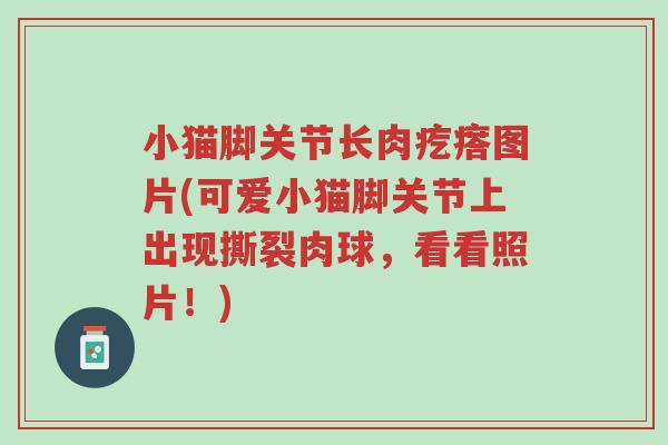小猫脚关节长肉疙瘩图片(可爱小猫脚关节上出现撕裂肉球,看看照片!)-第1张图片-超越 小猫脚关节长肉疙瘩图片(可爱小猫脚关节上出现撕裂肉球,看看照片!)-第1张图片-超越