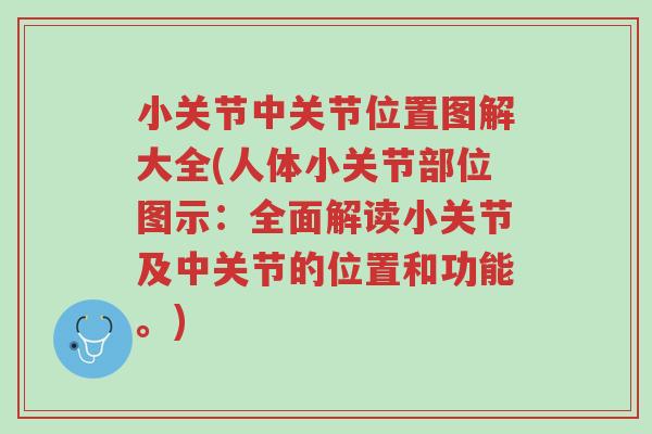 小关节中关节位置图解大全(人体小关节部位图示:全面解读小关节及中关节的位置和功能。)-第1张图片-超越 小关节中关节位置图解大全(人体小关节部位图示:全面解读小关节及中关节的位置和功能。)-第1张图片-超越
