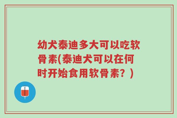 幼犬泰迪多大可以吃软骨素(泰迪犬可以在何时开始食用软骨素?)-第1张图片-超越 幼犬泰迪多大可以吃软骨素(泰迪犬可以在何时开始食用软骨素?)-第1张图片-超越
