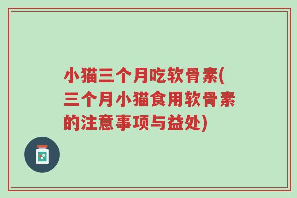 小猫三个月吃软骨素(三个月小猫食用软骨素的注意事项与益处)-第1张图片-超越 小猫三个月吃软骨素(三个月小猫食用软骨素的注意事项与益处)-第1张图片-超越
