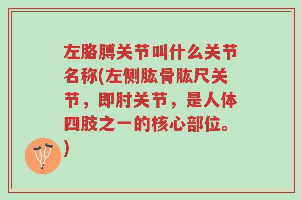 左胳膊关节叫什么关节名称(左侧肱骨肱尺关节,即肘关节,是人体四肢之一的核心部位。)-第1张图片-超越 左胳膊关节叫什么关节名称(左侧肱骨肱尺关节,即肘关节,是人体四肢之一的核心部位。)-第1张图片-超越