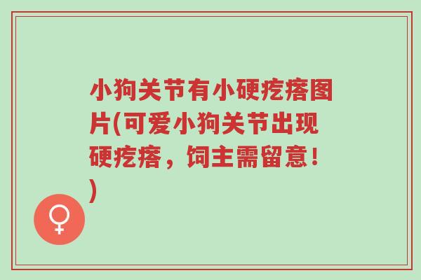 小狗关节有小硬疙瘩图片(可爱小狗关节出现硬疙瘩,饲主需留意!)-第1张图片-超越 小狗关节有小硬疙瘩图片(可爱小狗关节出现硬疙瘩,饲主需留意!)-第1张图片-超越