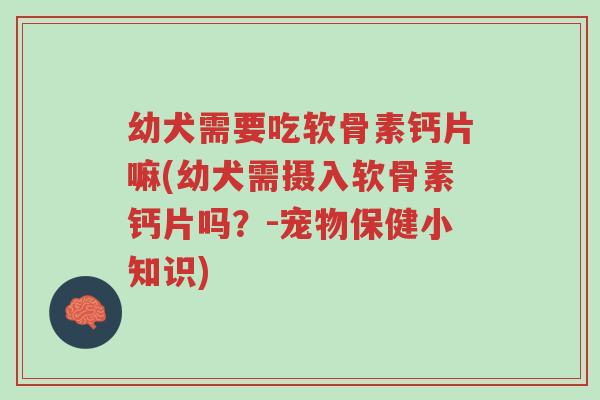 幼犬需要吃软骨素钙片嘛(幼犬需摄入软骨素钙片吗?-宠物保健小知识)-第1张图片-超越 幼犬需要吃软骨素钙片嘛(幼犬需摄入软骨素钙片吗?-宠物保健小知识)-第1张图片-超越