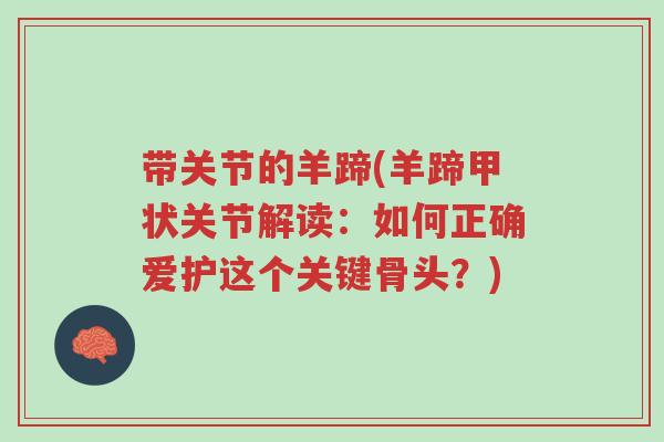 带关节的羊蹄(羊蹄甲状关节解读:如何正确爱护这个关键骨头?)-第1张图片-超越 带关节的羊蹄(羊蹄甲状关节解读:如何正确爱护这个关键骨头?)-第1张图片-超越