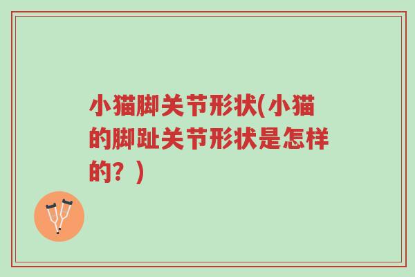 小猫脚关节形状(小猫的脚趾关节形状是怎样的?)-第1张图片-超越 小猫脚关节形状(小猫的脚趾关节形状是怎样的?)-第1张图片-超越