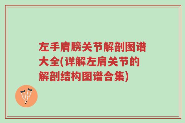 左手肩膀关节解剖图谱大全(详解左肩关节的解剖结构图谱合集)-第1张图片-超越 左手肩膀关节解剖图谱大全(详解左肩关节的解剖结构图谱合集)-第1张图片-超越