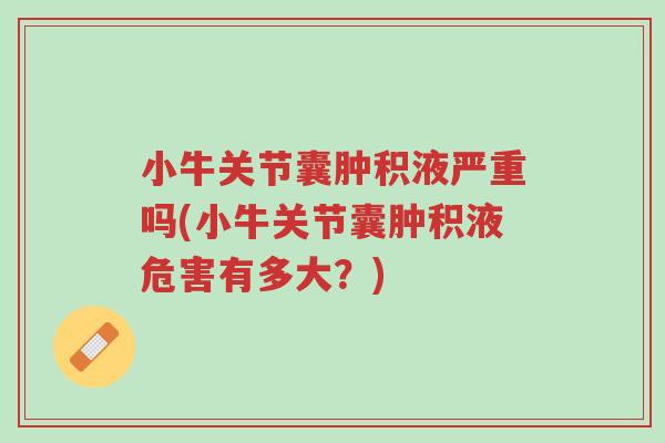 小牛关节囊肿积液严重吗(小牛关节囊肿积液危害有多大?)-第1张图片-超越 小牛关节囊肿积液严重吗(小牛关节囊肿积液危害有多大?)-第1张图片-超越