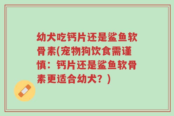 幼犬吃钙片还是鲨鱼软骨素(宠物狗饮食需谨慎：钙片还是鲨鱼软骨素更适合幼犬？)-第1张图片-超越