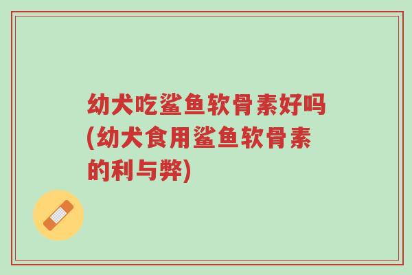 幼犬吃鲨鱼软骨素好吗(幼犬食用鲨鱼软骨素的利与弊)-第1张图片-超越 幼犬吃鲨鱼软骨素好吗(幼犬食用鲨鱼软骨素的利与弊)-第1张图片-超越