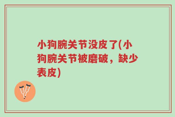 小狗腕关节没皮了(小狗腕关节被磨破，缺少表皮)-第1张图片-超越