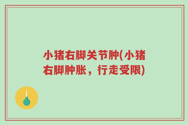 小猪右脚关节肿(小猪右脚肿胀,行走受限)-第1张图片-超越 小猪右脚关节肿(小猪右脚肿胀,行走受限)-第1张图片-超越