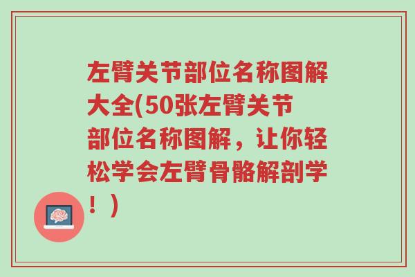 左臂关节部位名称图解大全(50张左臂关节部位名称图解,让你轻松学会左臂骨骼解剖学!)-第1张图片-超越 左臂关节部位名称图解大全(50张左臂关节部位名称图解,让你轻松学会左臂骨骼解剖学!)-第1张图片-超越