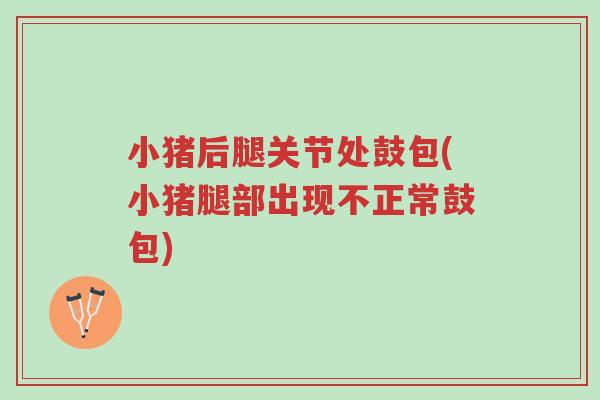 小猪后腿关节处鼓包(小猪腿部出现不正常鼓包)-第1张图片-超越