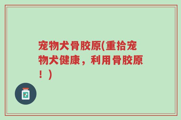 宠物犬骨胶原(重拾宠物犬健康,利用骨胶原!)-第1张图片-超越 宠物犬骨胶原(重拾宠物犬健康,利用骨胶原!)-第1张图片-超越