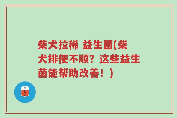 柴犬拉稀 益生菌(柴犬排便不顺?这些益生菌能帮助改善!)-第1张图片-超越 柴犬拉稀 益生菌(柴犬排便不顺?这些益生菌能帮助改善!)-第1张图片-超越