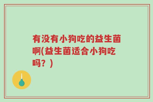 有没有小狗吃的益生菌啊(益生菌适合小狗吃吗?)-第1张图片-超越 有没有小狗吃的益生菌啊(益生菌适合小狗吃吗?)-第1张图片-超越