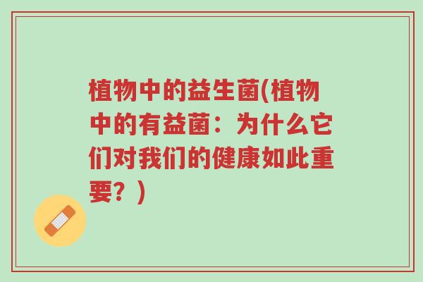 植物中的益生菌(植物中的有益菌:为什么它们对我们的健康如此重要?)-第1张图片-超越 植物中的益生菌(植物中的有益菌:为什么它们对我们的健康如此重要?)-第1张图片-超越