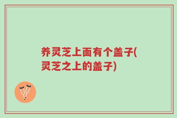 养灵芝上面有个盖子(灵芝之上的盖子)-第1张图片-超越 养灵芝上面有个盖子(灵芝之上的盖子)-第1张图片-超越