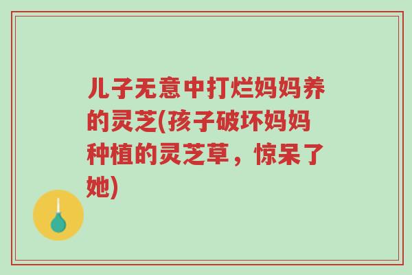 儿子无意中打烂妈妈养的灵芝(孩子破坏妈妈种植的灵芝草,惊呆了她)-第1张图片-超越 儿子无意中打烂妈妈养的灵芝(孩子破坏妈妈种植的灵芝草,惊呆了她)-第1张图片-超越