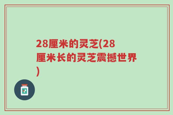 28厘米的灵芝(28厘米长的灵芝震撼世界)-第1张图片-超越 28厘米的灵芝(28厘米长的灵芝震撼世界)-第1张图片-超越