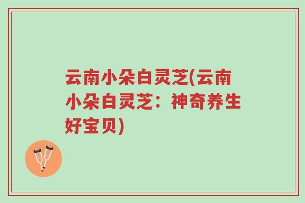 云南小朵白灵芝(云南小朵白灵芝:神奇养生好宝贝)-第1张图片-超越 云南小朵白灵芝(云南小朵白灵芝:神奇养生好宝贝)-第1张图片-超越