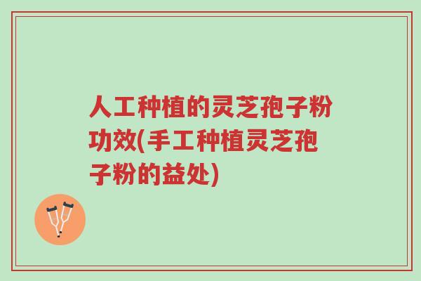 人工种植的灵芝孢子粉功效(手工种植灵芝孢子粉的益处)-第1张图片-超越 人工种植的灵芝孢子粉功效(手工种植灵芝孢子粉的益处)-第1张图片-超越
