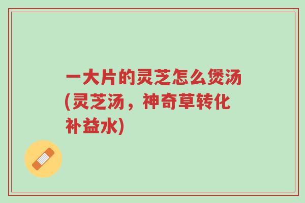 一大片的灵芝怎么煲汤(灵芝汤,神奇草转化补益水)-第1张图片-超越 一大片的灵芝怎么煲汤(灵芝汤,神奇草转化补益水)-第1张图片-超越