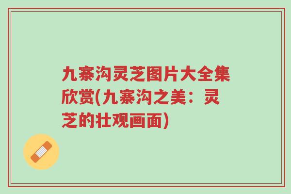 九寨沟灵芝图片大全集欣赏(九寨沟之美:灵芝的壮观画面)-第1张图片-超越 九寨沟灵芝图片大全集欣赏(九寨沟之美:灵芝的壮观画面)-第1张图片-超越