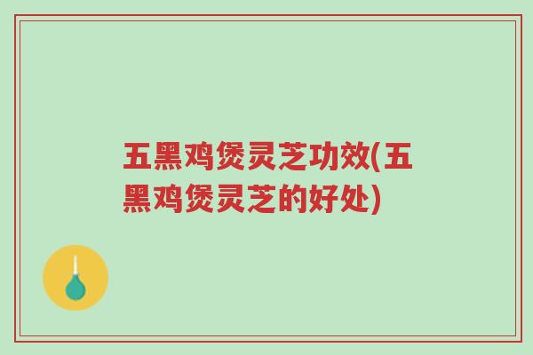 五黑鸡煲灵芝功效(五黑鸡煲灵芝的好处)-第1张图片-超越 五黑鸡煲灵芝功效(五黑鸡煲灵芝的好处)-第1张图片-超越