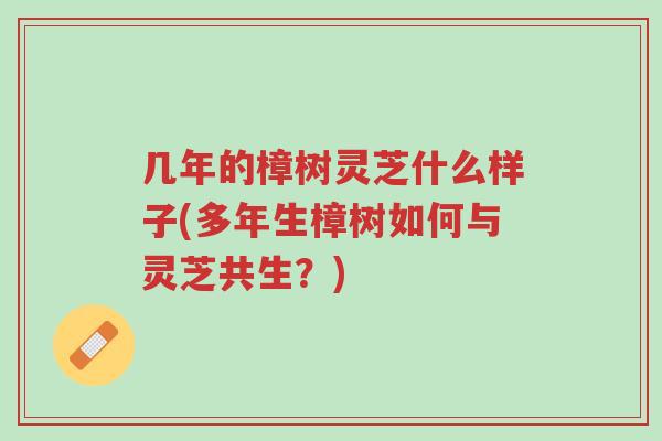 几年的樟树灵芝什么样子(多年生樟树如何与灵芝共生?)-第1张图片-超越 几年的樟树灵芝什么样子(多年生樟树如何与灵芝共生?)-第1张图片-超越