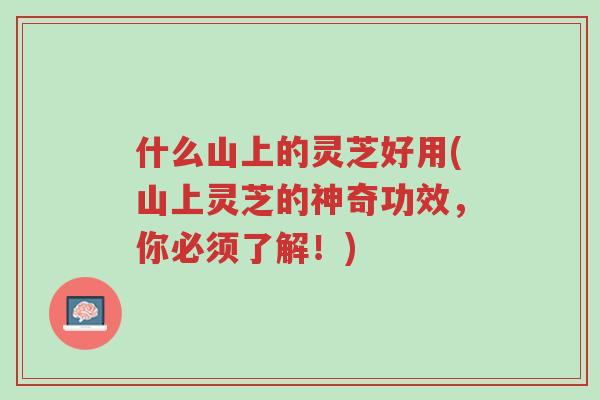 什么山上的灵芝好用(山上灵芝的神奇功效，你必须了解！)-第1张图片-超越