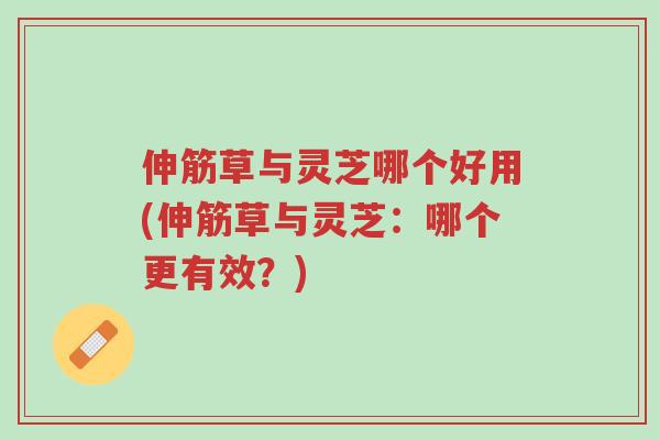 伸筋草与灵芝哪个好用(伸筋草与灵芝:哪个更有效?)-第1张图片-超越 伸筋草与灵芝哪个好用(伸筋草与灵芝:哪个更有效?)-第1张图片-超越
