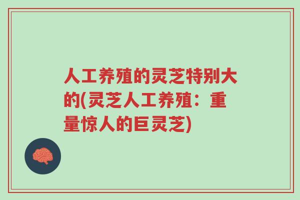 人工养殖的灵芝特别大的(灵芝人工养殖:重量惊人的巨灵芝)-第1张图片-超越 人工养殖的灵芝特别大的(灵芝人工养殖:重量惊人的巨灵芝)-第1张图片-超越