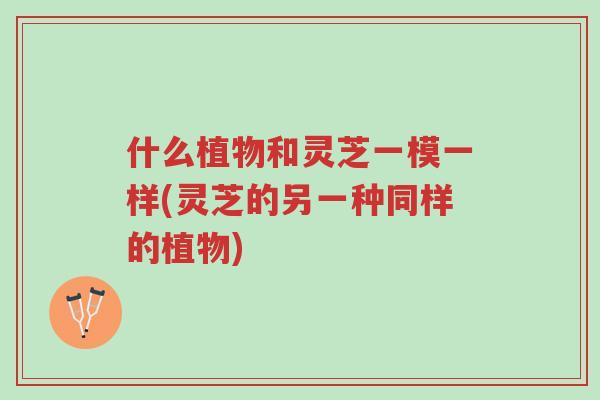 什么植物和灵芝一模一样(灵芝的另一种同样的植物)-第1张图片-超越 什么植物和灵芝一模一样(灵芝的另一种同样的植物)-第1张图片-超越