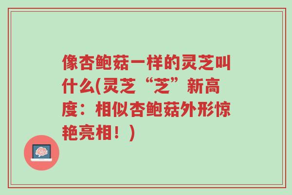 像杏鲍菇一样的灵芝叫什么(灵芝“芝”新高度:相似杏鲍菇外形惊艳亮相!)-第1张图片-超越 像杏鲍菇一样的灵芝叫什么(灵芝“芝”新高度:相似杏鲍菇外形惊艳亮相!)-第1张图片-超越