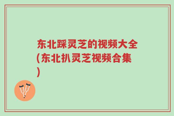 东北踩灵芝的视频大全(东北扒灵芝视频合集)-第1张图片-超越 东北踩灵芝的视频大全(东北扒灵芝视频合集)-第1张图片-超越
