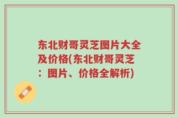 东北财哥灵芝图片大全及价格(东北财哥灵芝:图片、价格全解析)-第1张图片-超越 东北财哥灵芝图片大全及价格(东北财哥灵芝:图片、价格全解析)-第1张图片-超越