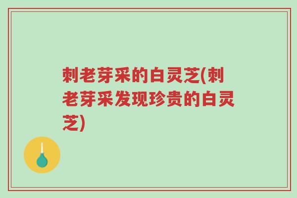 刺老芽采的白灵芝(刺老芽采发现珍贵的白灵芝)-第1张图片-超越 刺老芽采的白灵芝(刺老芽采发现珍贵的白灵芝)-第1张图片-超越
