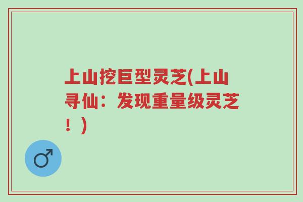 上山挖巨型灵芝(上山寻仙:发现重量级灵芝!)-第1张图片-超越 上山挖巨型灵芝(上山寻仙:发现重量级灵芝!)-第1张图片-超越