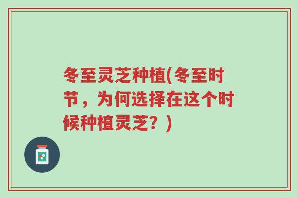冬至灵芝种植(冬至时节,为何选择在这个时候种植灵芝?)-第1张图片-超越 冬至灵芝种植(冬至时节,为何选择在这个时候种植灵芝?)-第1张图片-超越