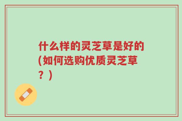 什么样的灵芝草是好的(如何选购优质灵芝草?)-第1张图片-超越 什么样的灵芝草是好的(如何选购优质灵芝草?)-第1张图片-超越