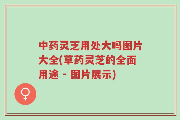 中药灵芝用处大吗图片大全(草药灵芝的全面用途 - 图片展示)-第1张图片-超越 中药灵芝用处大吗图片大全(草药灵芝的全面用途 - 图片展示)-第1张图片-超越