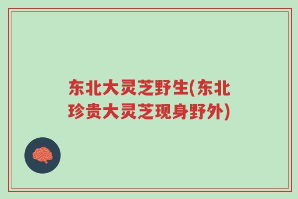 东北大灵芝野生(东北珍贵大灵芝现身野外)-第1张图片-超越 东北大灵芝野生(东北珍贵大灵芝现身野外)-第1张图片-超越