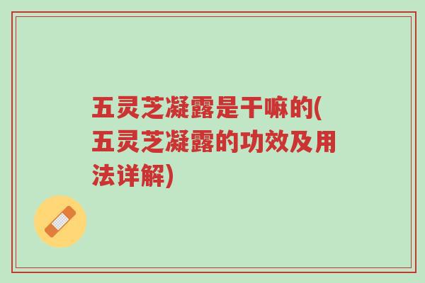 五灵芝凝露是干嘛的(五灵芝凝露的功效及用法详解)-第1张图片-超越 五灵芝凝露是干嘛的(五灵芝凝露的功效及用法详解)-第1张图片-超越