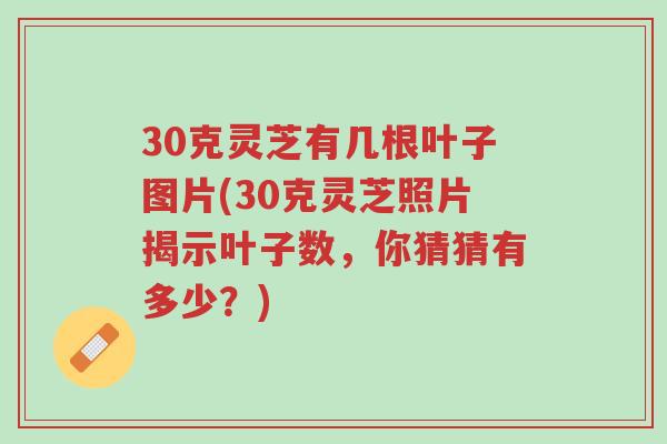 30克灵芝有几根叶子图片(30克灵芝照片揭示叶子数,你猜猜有多少?)-第1张图片-超越 30克灵芝有几根叶子图片(30克灵芝照片揭示叶子数,你猜猜有多少?)-第1张图片-超越