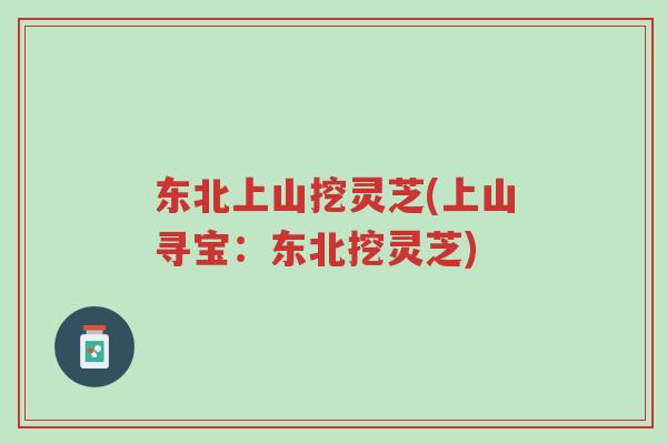东北上山挖灵芝(上山寻宝：东北挖灵芝)-第1张图片-超越