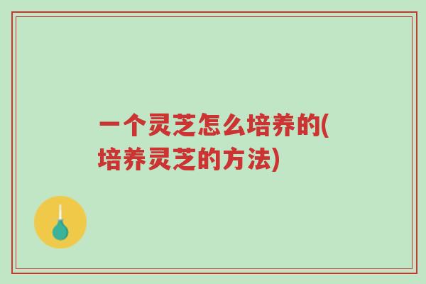 一个灵芝怎么培养的(培养灵芝的方法)-第1张图片-超越 一个灵芝怎么培养的(培养灵芝的方法)-第1张图片-超越